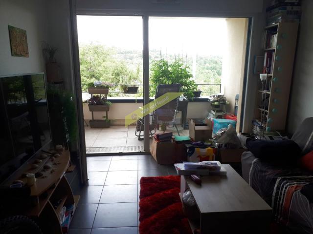 Appartement location à Nancy, Villers-lès-nancy
