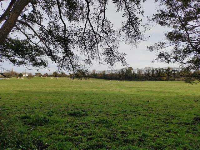 Terrain vente à Lisieux, Villers-sur-mer