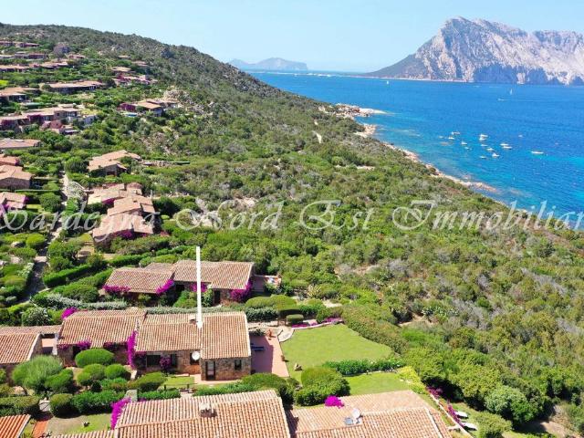 Villa Schiera in vendita a Puntaldia, Sardigna/Sardegna