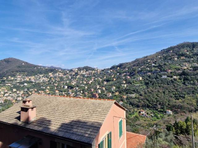 Villa Schiera in affitto a Camogli, Liguria