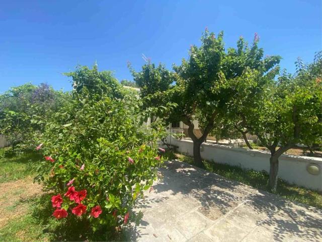 Villa Schiera in affitto a Pantanagianni, Puglia