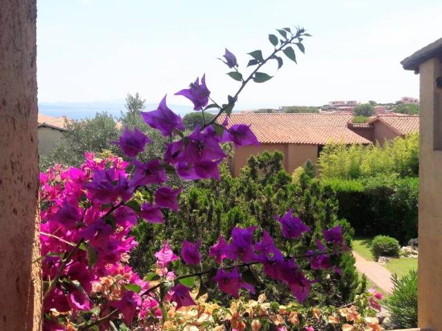 Villa Schiera in affitto a Baia Caddinas, Golfo Aranci