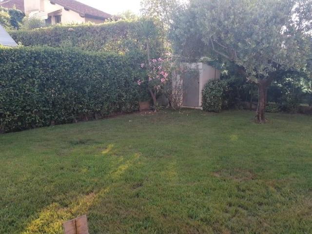 Villa Schiera in affitto a Montignoso, Toscana