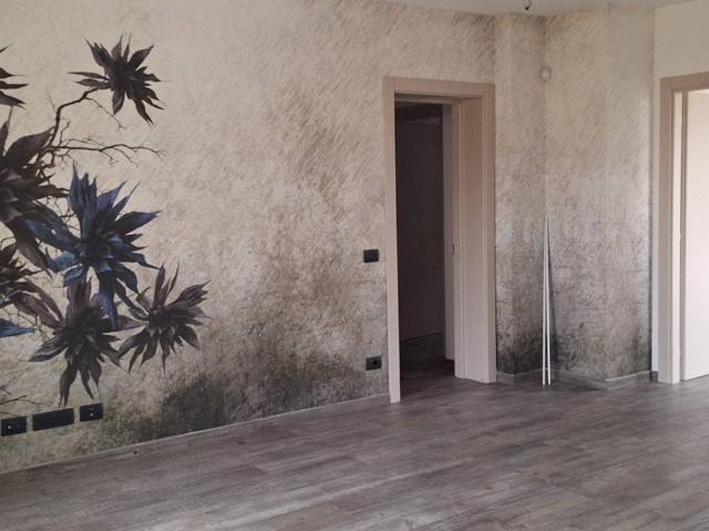 Villa Schiera in affitto a Parma Centro, Sorbolo