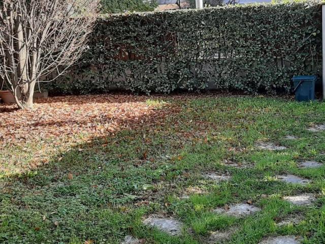 Villa Schiera in affitto a Tezze Sul Brenta, Veneto