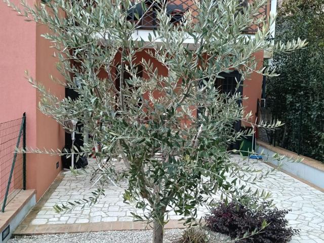 Casa in affitto a Montecastrilli, Umbria