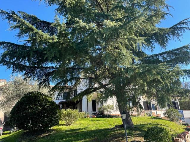 Casa in affitto a Spoleto, Umbria