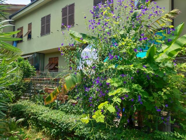 Villa Schiera in vendita a Bastia, Albenga
