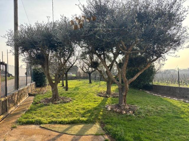 Villa Schiera in vendita a Alonte, Veneto