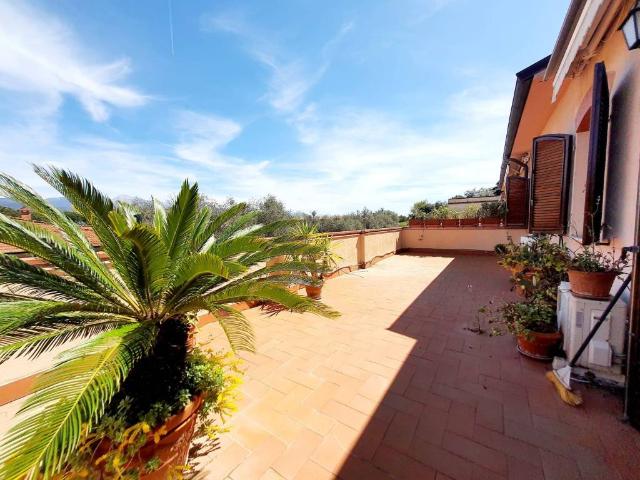 Villa Schiera in vendita a Ameglia, Liguria