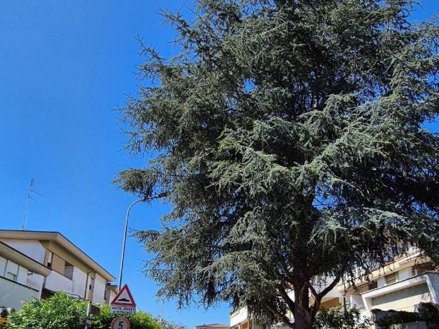 Villa Schiera in vendita a Lido di Enea, Roma Capitale
