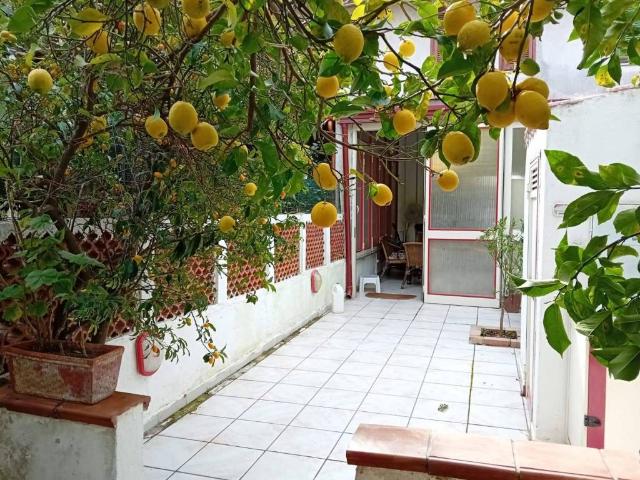 Villa Schiera in vendita a Calabria, Catanzaro