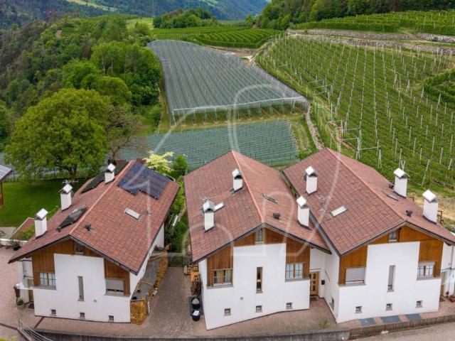 Villa Schiera in vendita a Eisacktal - Valle Isarco, Elvas