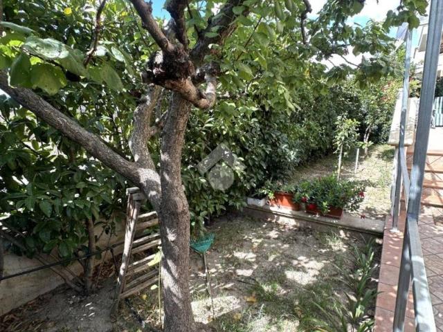 Villa Schiera in vendita a Puglia, Barletta-andria-trani