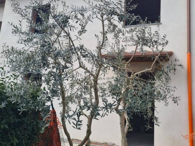 Villa Schiera in vendita a Camigliano Santa Gemma, Capannori