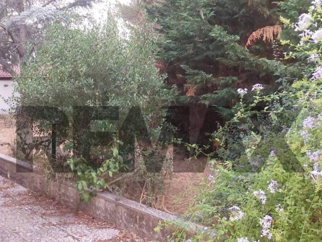 Villa Schiera in vendita a Cassano delle Murge, Bari