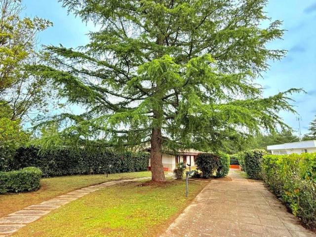 Villa Schiera in vendita a Puglia, Bari