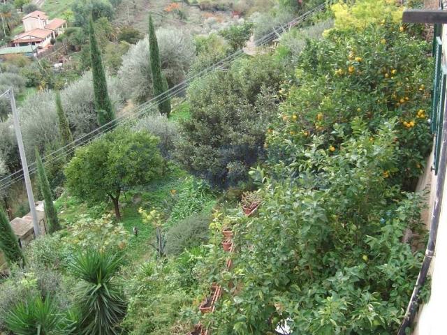 Villa Schiera in vendita a Castellaro, Liguria