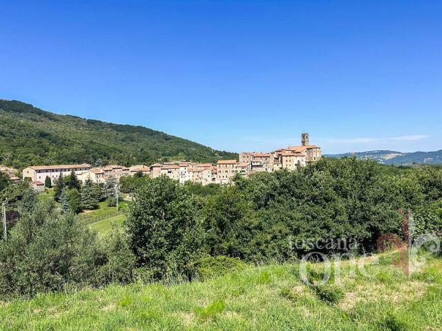 Villa Schiera in vendita a Castelnuovo Val Di Cecina, Toscana