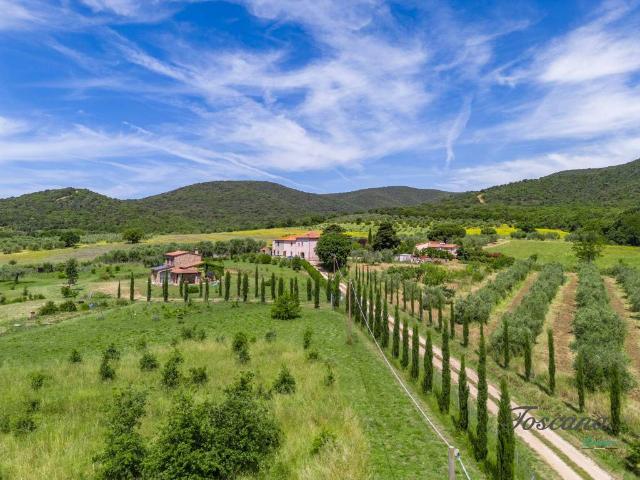 Villa Schiera in vendita a Castiglione Della Pescaia, Toscana