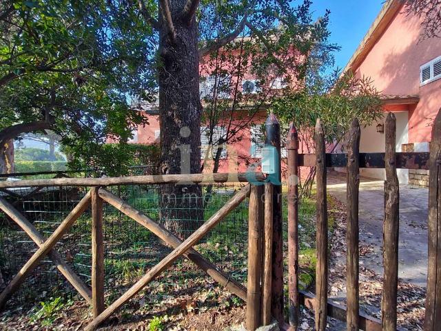 Villa Schiera in vendita a Castiglione Della Pescaia, Toscana