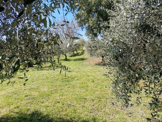 Villa Schiera in vendita a Le Grazie, Colle di Val d'Elsa