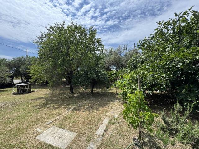 Villa Schiera in vendita a San Patrignano, Coriano