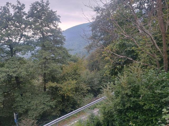 Villa Schiera in vendita a Case Mut, Corio