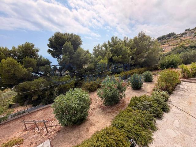 Villa Schiera in vendita a Costarainera, Liguria