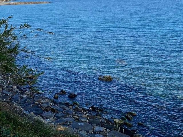 Villa Schiera in vendita a Costarainera, Liguria