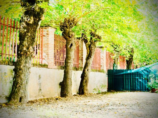 Villa Schiera in vendita a Piemonte, Cuneo
