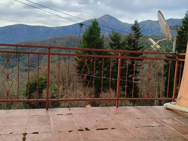 Villa Schiera in vendita a Davagna, Liguria