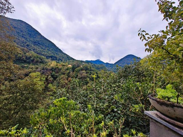 Villa Schiera in vendita a Dizzasco, Lombardia