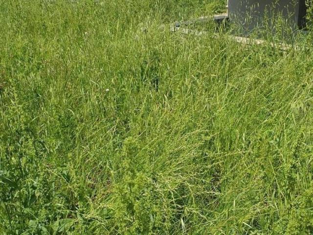 Villa Schiera in vendita a Unione dei Comuni Circondario dell'Empolese Valdelsa, Empoli