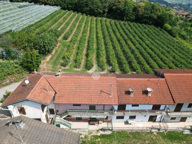 Villa Schiera in vendita a Piemonte, Cuneo