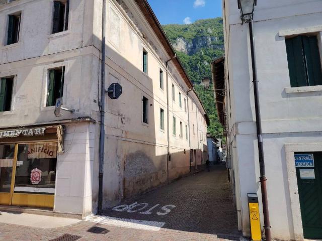 Villa Schiera in vendita a Fonzaso, Veneto