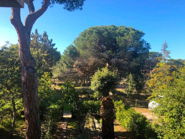 Villa Schiera in vendita a Monte Argentario, Toscana