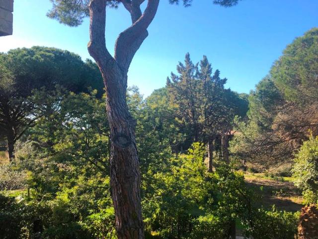 Villa Schiera in vendita a Monte Argentario, Toscana