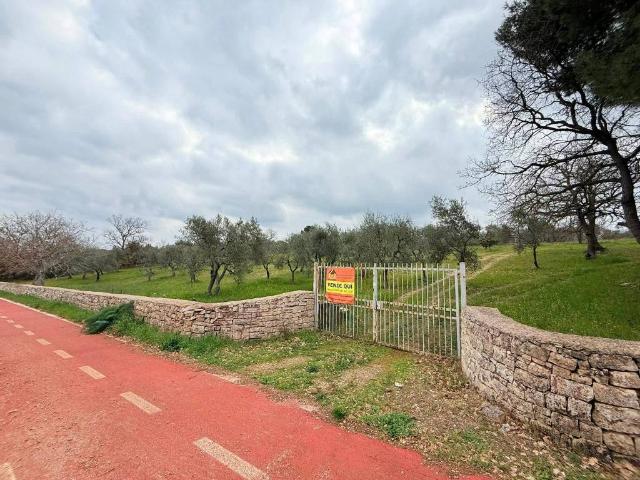 Villa Schiera in vendita a Puglia, Bari