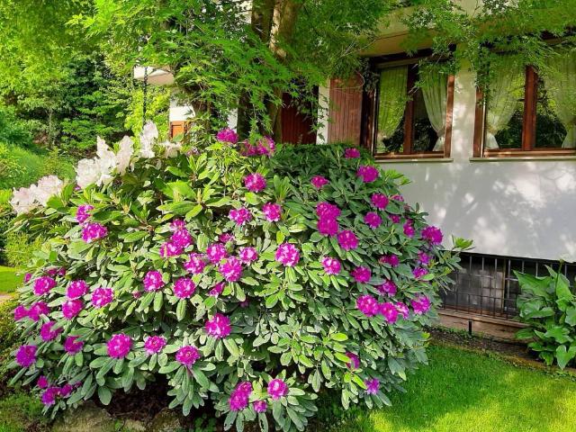 Villa Schiera in vendita a Gussago, Lombardia