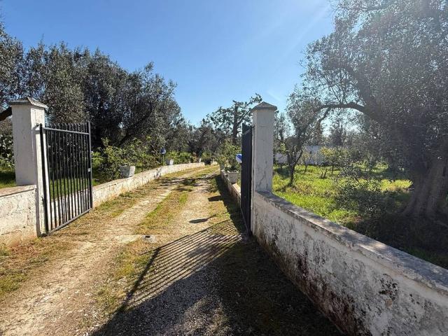 Villa Schiera in vendita a Puglia, Brindisi