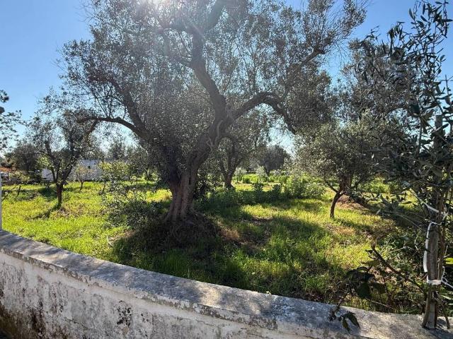Villa Schiera in vendita a Puglia, Brindisi