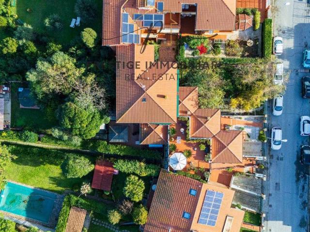 Villa Schiera in vendita a Livorno