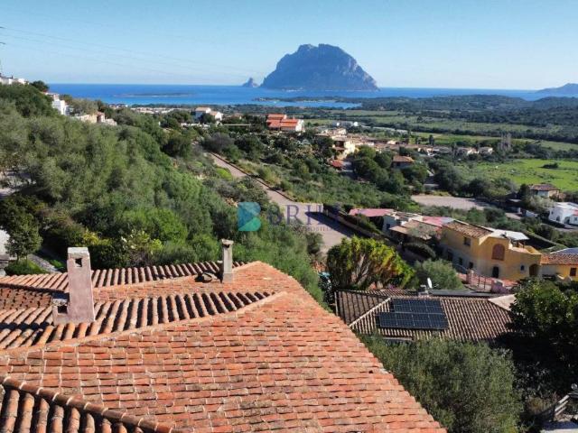 Villa Schiera in vendita a Porto San Paolo, Sardigna/Sardegna