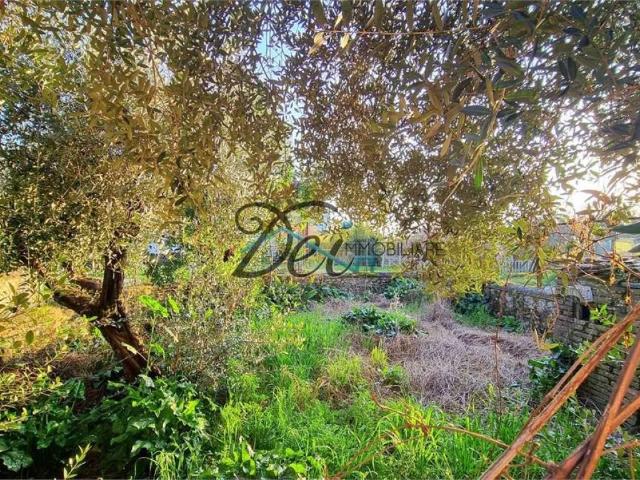 Villa Schiera in vendita a San Pietro a Vico, Bagni Di Lucca Ponte