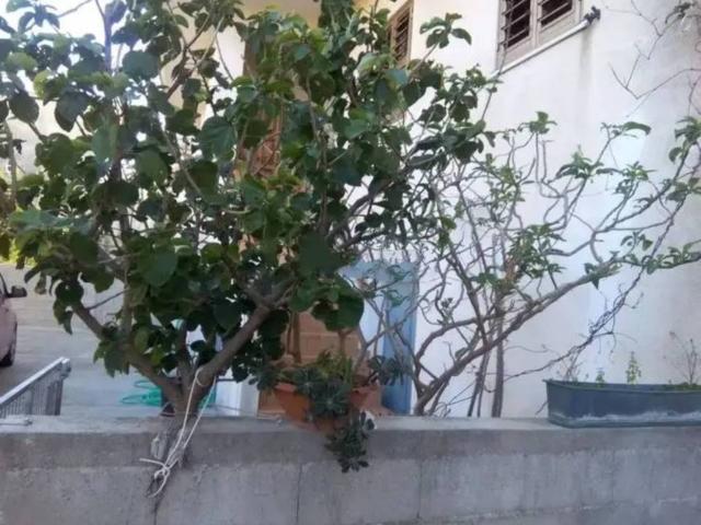 Villa Schiera in vendita a Calabria, Reggio Calabria