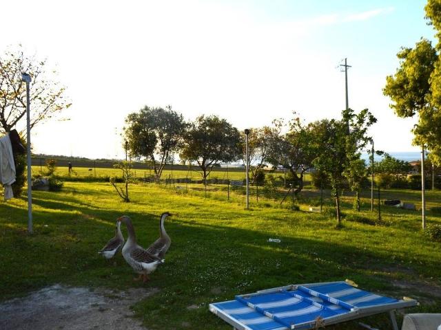 Villa Schiera in vendita a Marche, Ancona