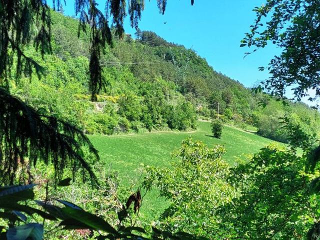 Villa Schiera in vendita a Unione dei comuni Savena-Idice, Monterenzio