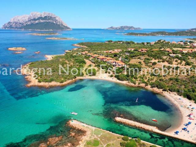 Villa Schiera in vendita a San Pantaleo, Sardigna/Sardegna