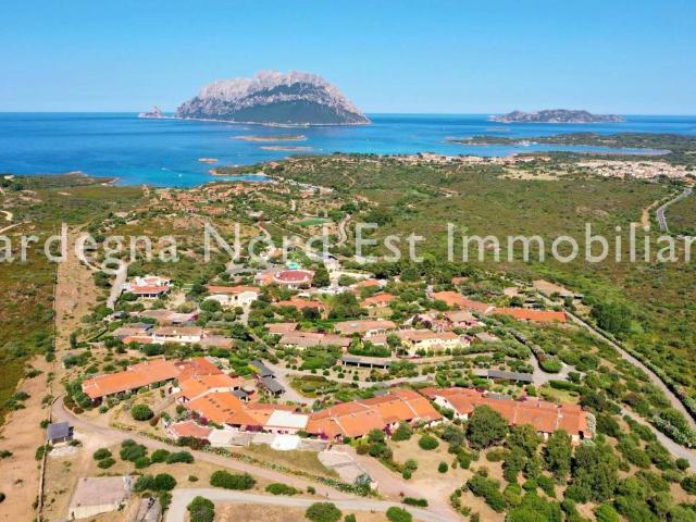 Villa Schiera in vendita a San Pantaleo, Sardigna/Sardegna